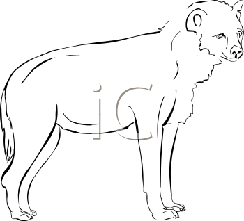 Animal Clipart