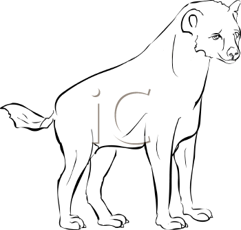 Animal Clipart
