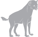 Animal Clipart