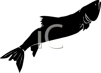 Fish and Sea Life Clipart