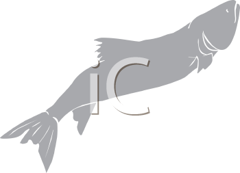 Fish and Sea Life Clipart