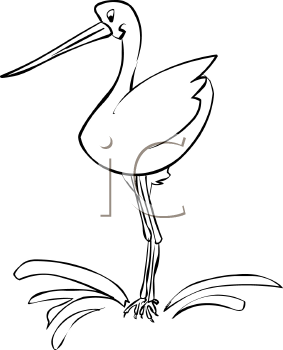 Bird Clipart