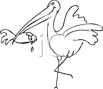 Bird Clipart