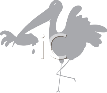 Bird Clipart