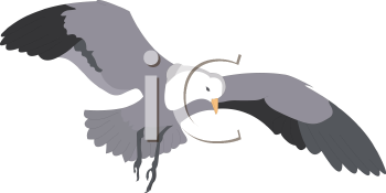 Bird Clipart