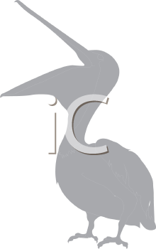 Bird Clipart