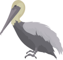 Bird Clipart