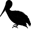 Bird Clipart