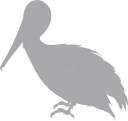 Bird Clipart