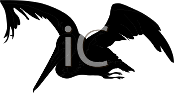 Bird Clipart