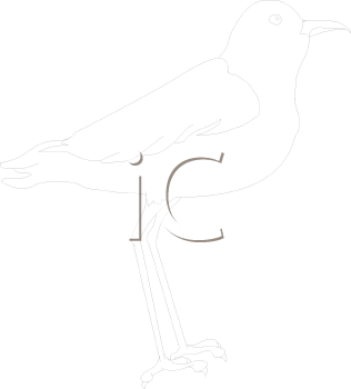 Bird Clipart
