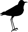 Bird Clipart