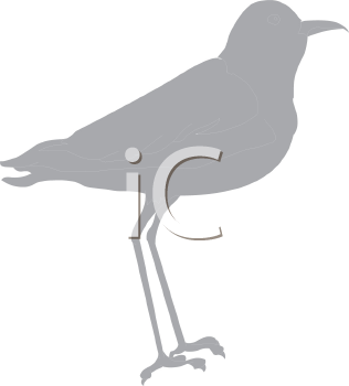 Bird Clipart