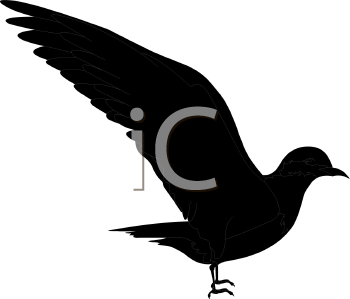 Bird Clipart