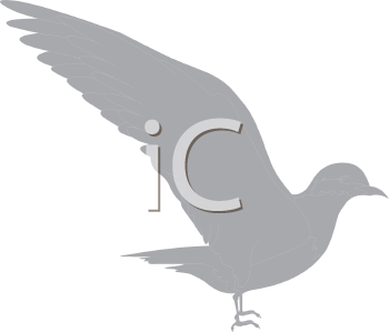 Bird Clipart