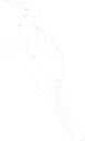 Bird Clipart