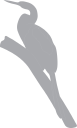 Bird Clipart