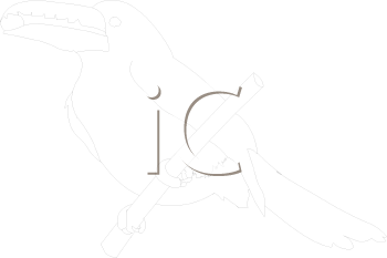 Bird Clipart