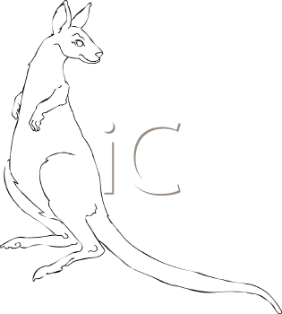 Marsupial Clipart