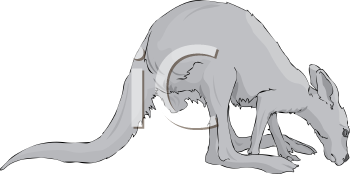 Marsupial Clipart