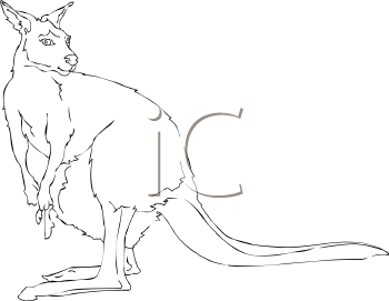 Marsupial Clipart