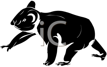 Marsupial Clipart