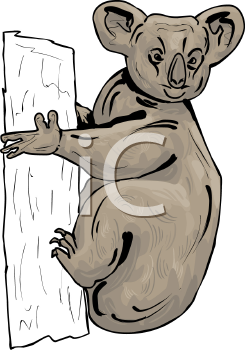 Marsupial Clipart