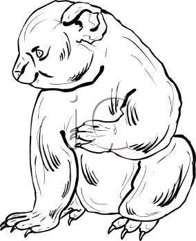 Marsupial Clipart