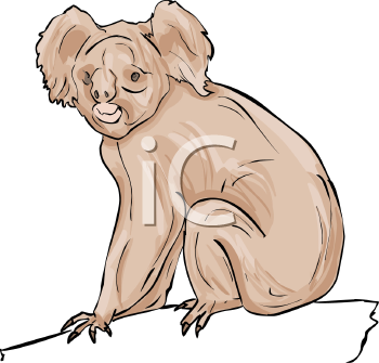 Marsupial Clipart