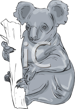 Marsupial Clipart