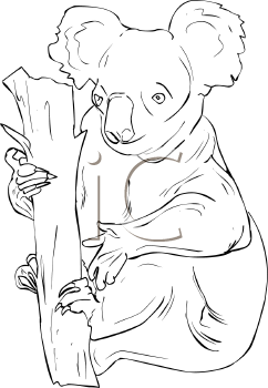 Marsupial Clipart