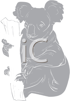 Marsupial Clipart