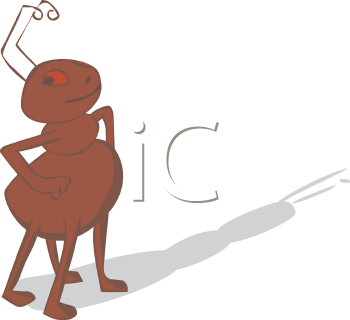 Insect Clipart