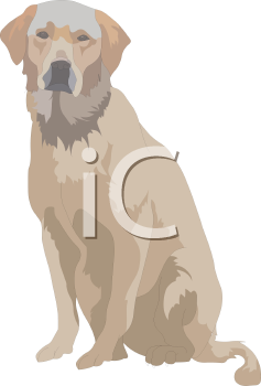 Pet Clipart