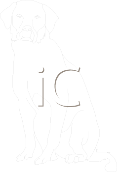 Dog Clipart