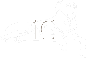 Dog Clipart