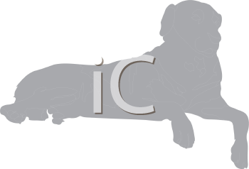 Pet Clipart
