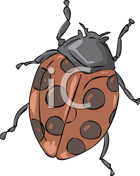 Beetle Clipart