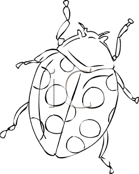 Insect Clipart