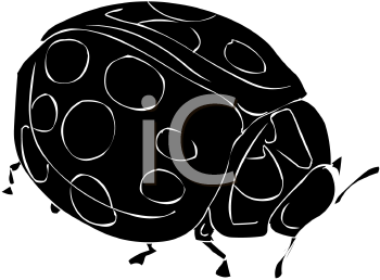 Insect Clipart