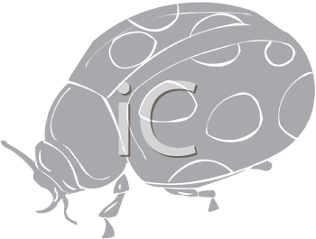 Beetle Clipart
