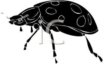Beetle Clipart