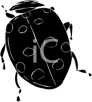 Beetle Clipart