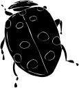 Beetle Clipart
