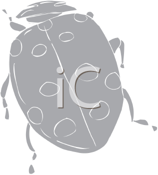 Beetle Clipart