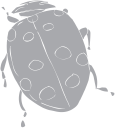 Beetle Clipart