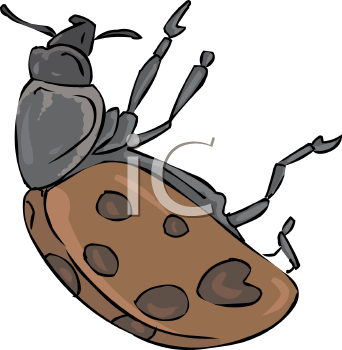 Beetle Clipart