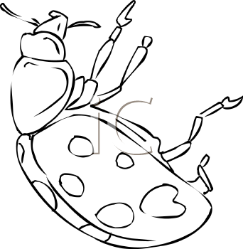 Beetle Clipart