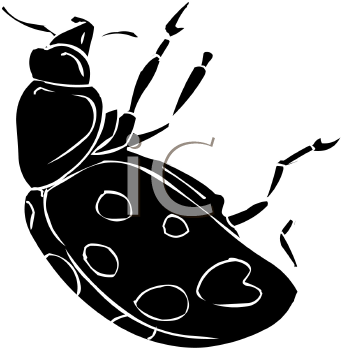 Beetle Clipart