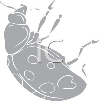 Beetle Clipart